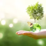 PrintReleaf Tree Planting Initiative